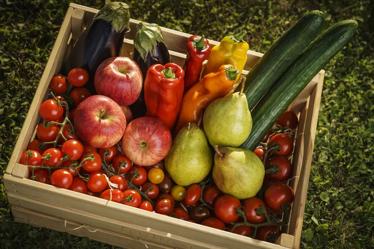 Obst- und Gemüsekorb