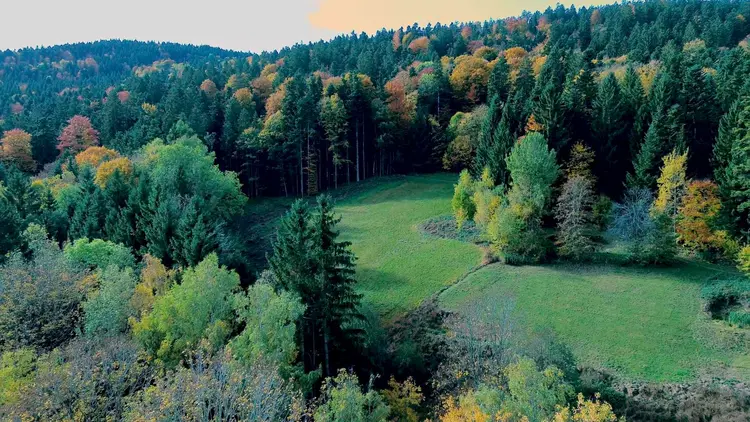 Fotocredit: Sparkasse OÖ