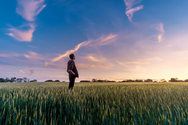 Mann steht in Feld (Sonnenuntergang)