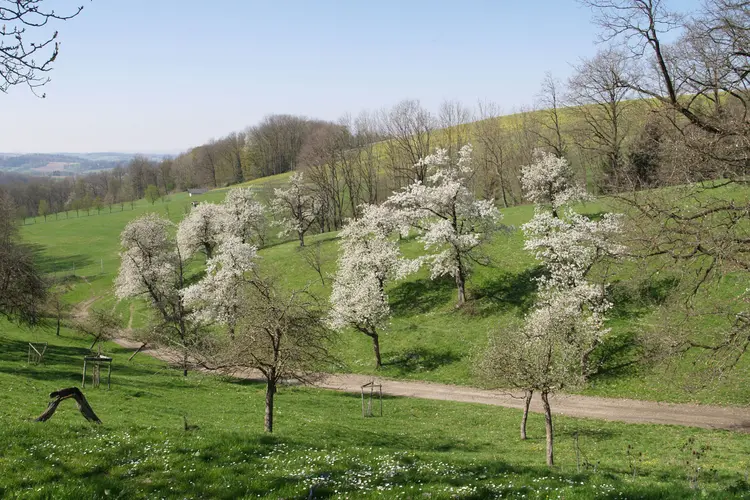 Naturpark Obst-Hügel-Land