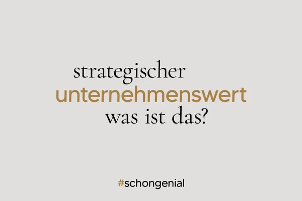 Strategischer Unternehmenswert: Was ist das?