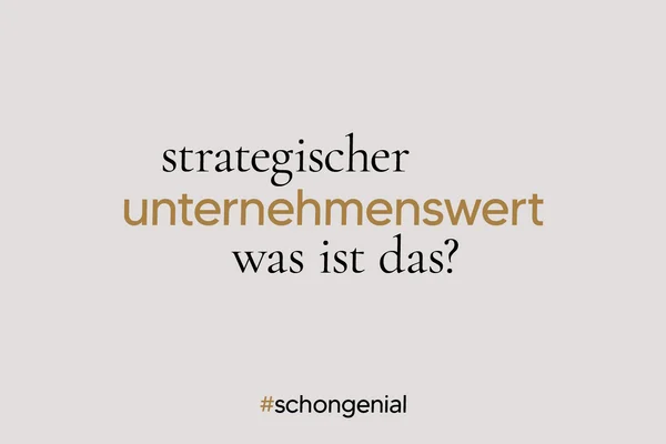 Strategischer Unternehmenswert: Was ist das?