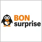 bonsurprise