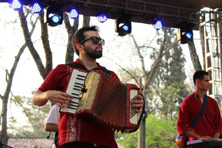 Akkordeonspieler mit Band bei Auftritt