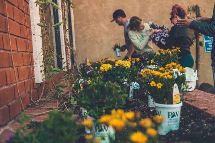 Foto: Kenny Eliason (Unsplash)