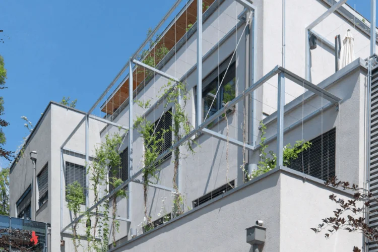 Gebäudebegrünung in Graz