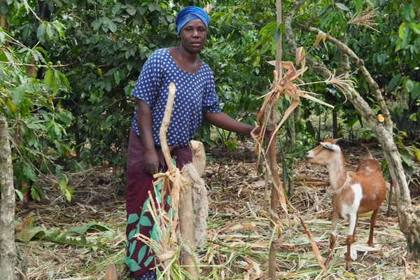 Bäuerin in Uganda mit Ziege