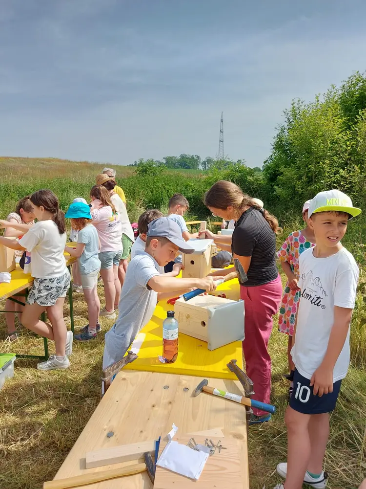 Foto: Hofmarcher