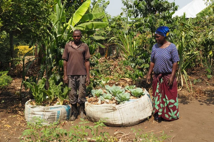 Gemüsegarten in Uganda