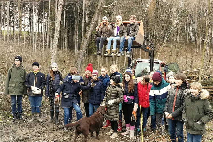 Schüler im Wald